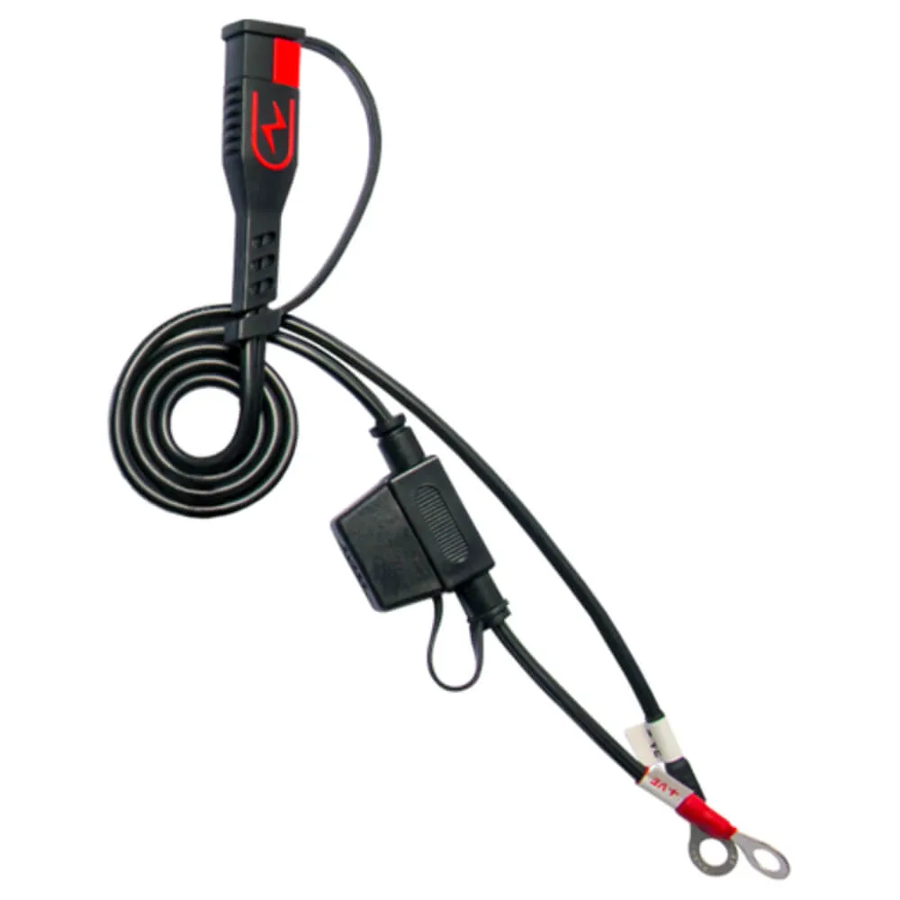 BS Battery BS 30 Smart Battery Charger & Maintainer