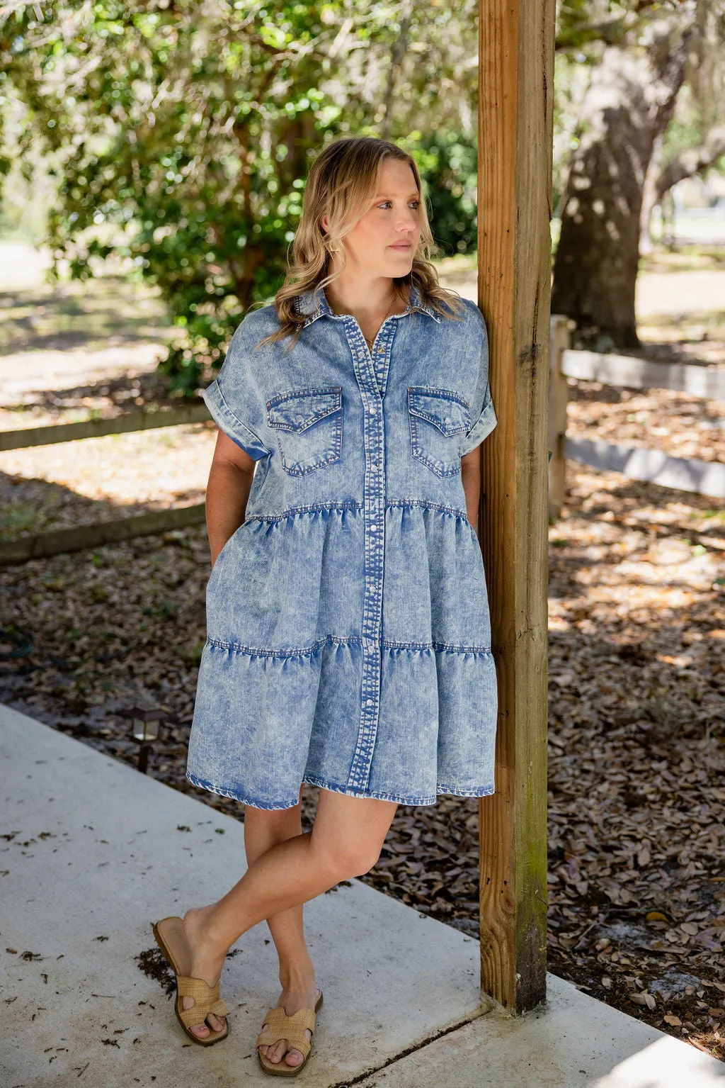 Denim Button Front Mini Dress