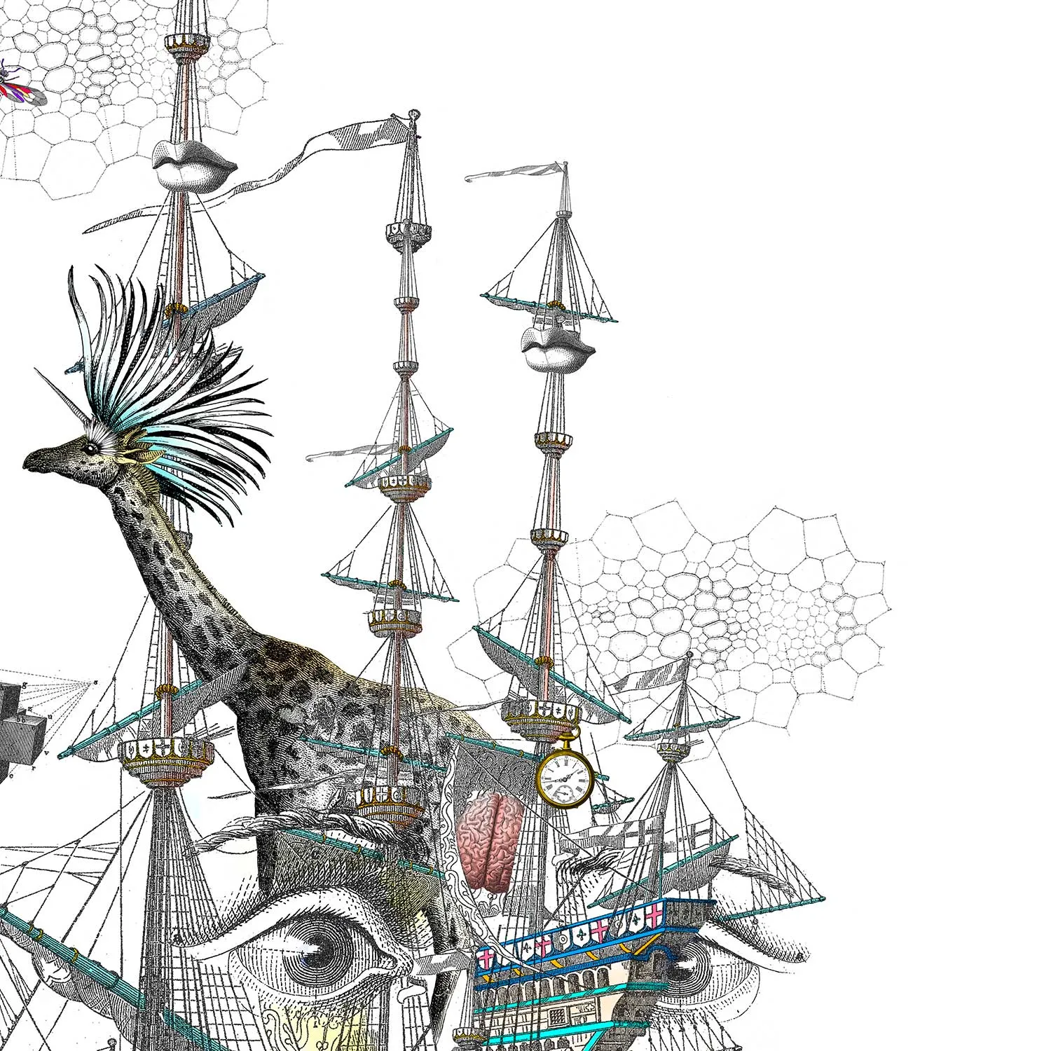 Draumaland At Sea - Great Henrietta VII - Art Print