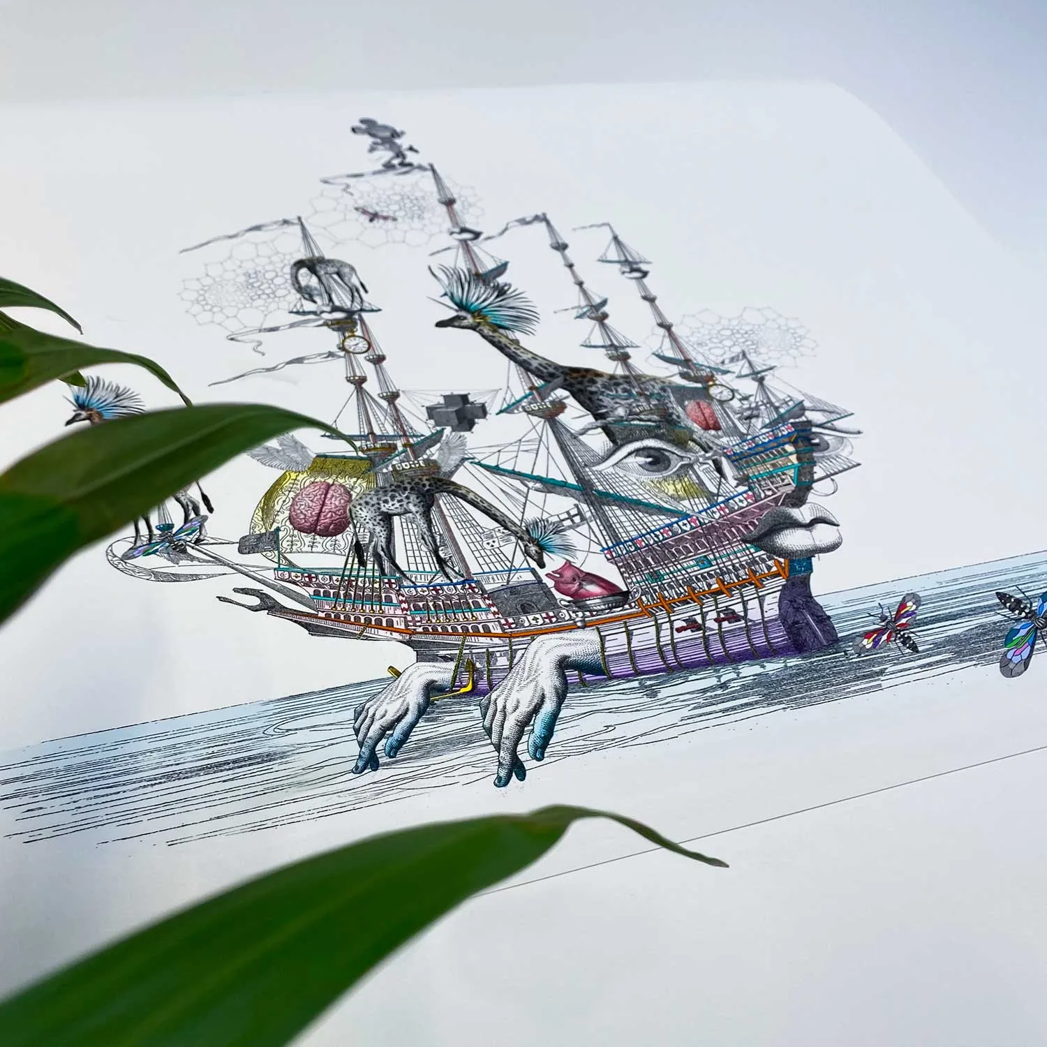Draumaland At Sea - Great Henrietta VII - Art Print