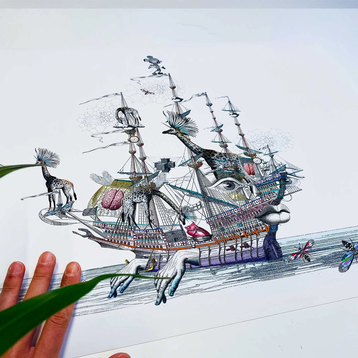 Draumaland At Sea - Great Henrietta VII - Art Print