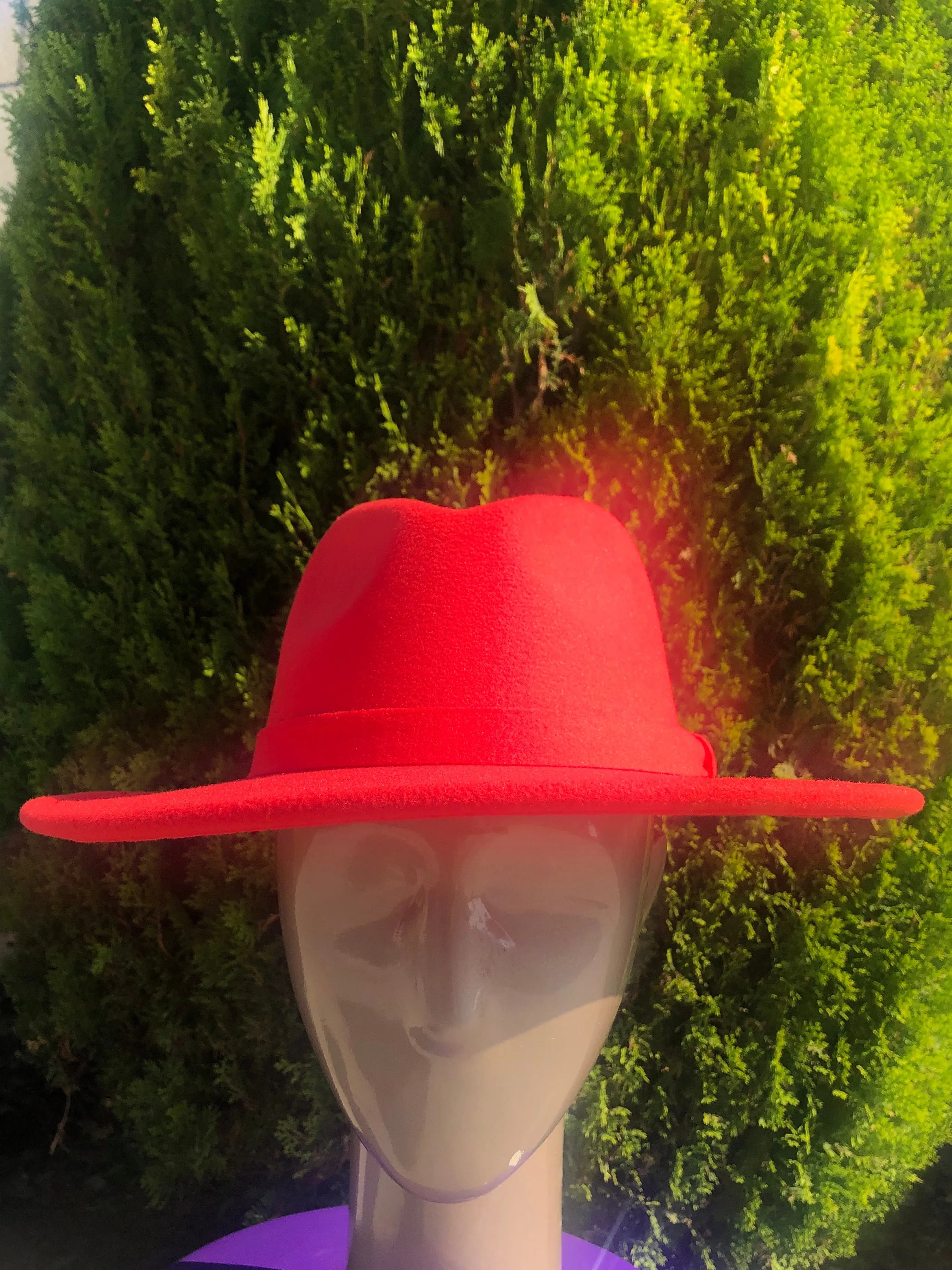 Fly Girl Fedora (5 Colors)