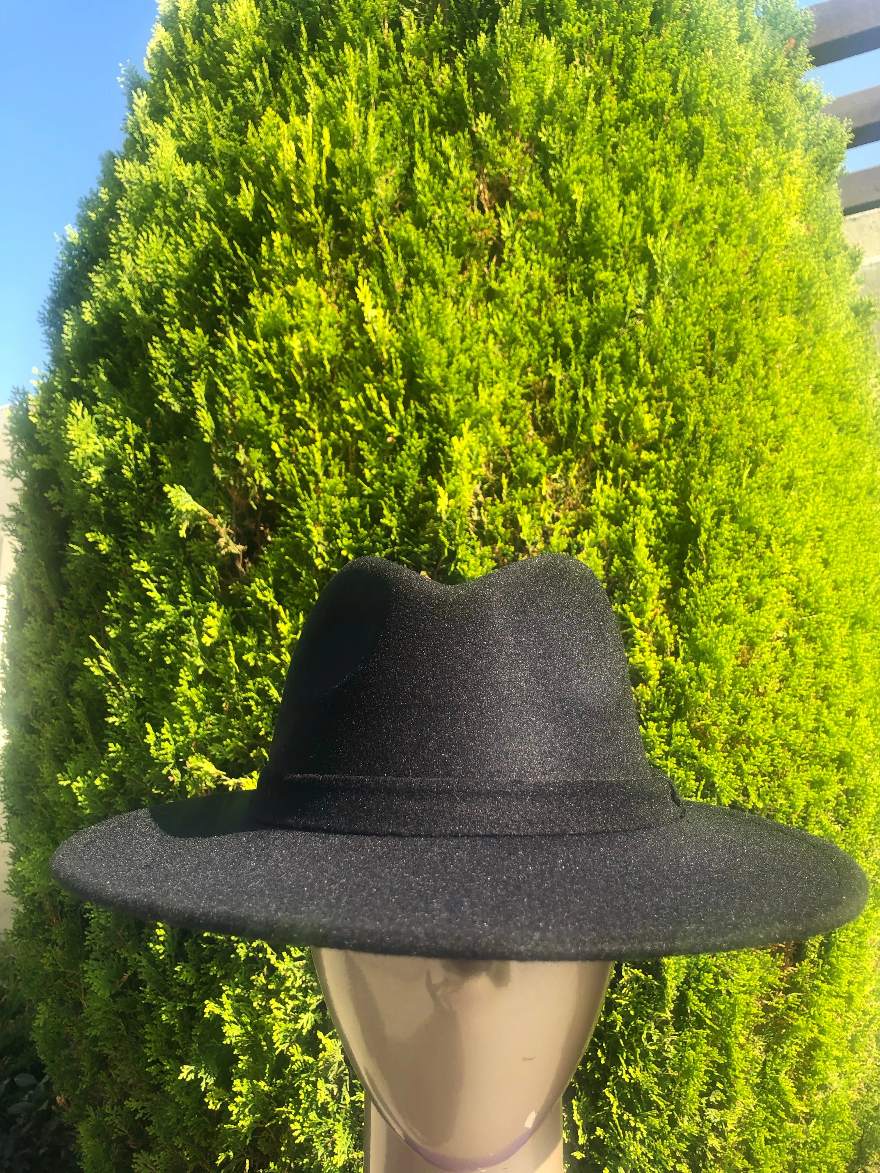 Fly Girl Fedora (5 Colors)