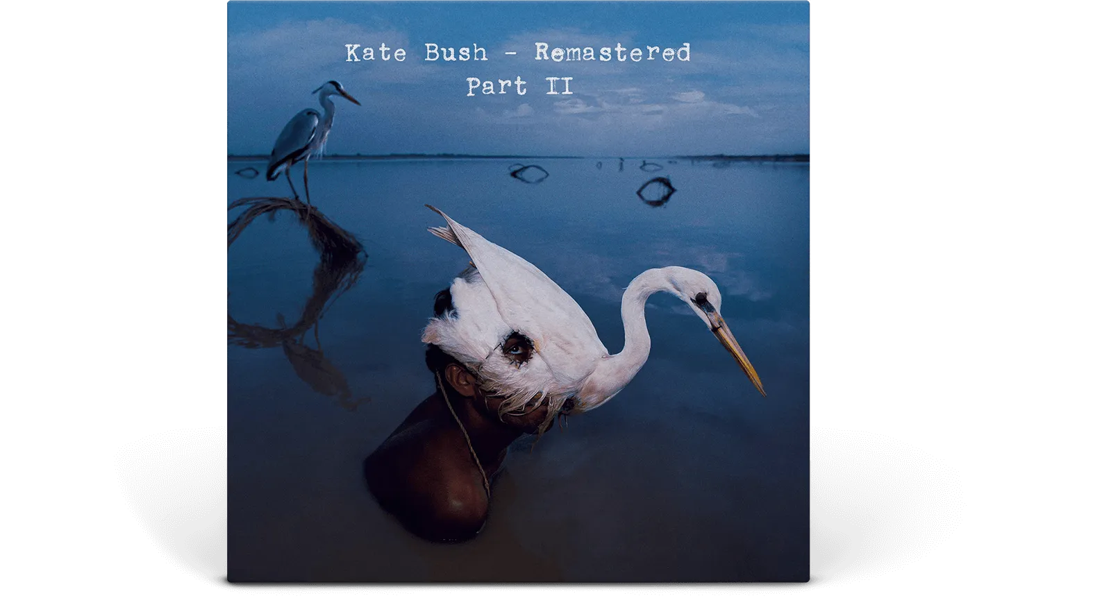 Kate Bush : Remastered, Pt. II (CD Boxset)