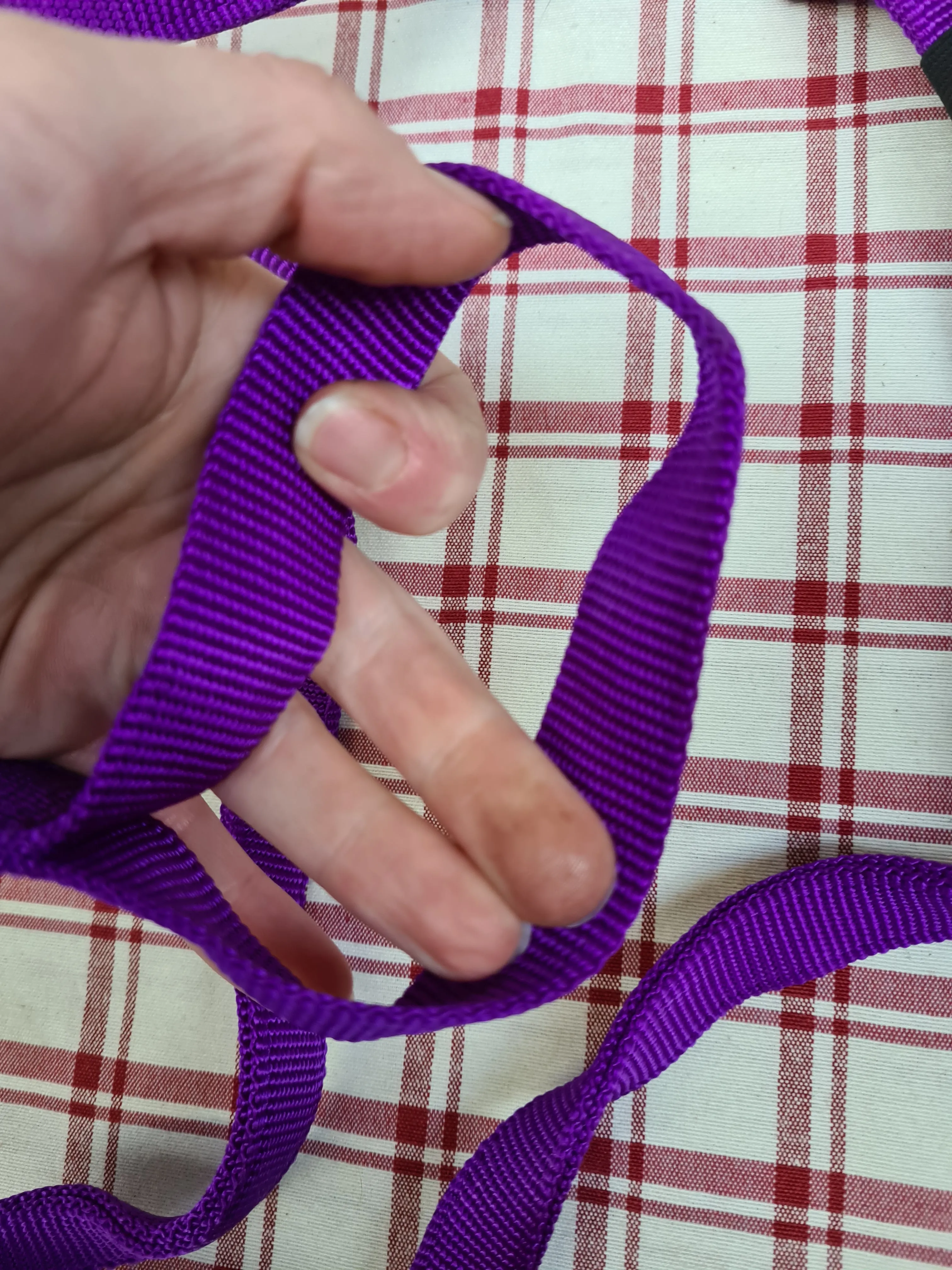New requisite purple cotton running martingale size full FREE POSTAGE *