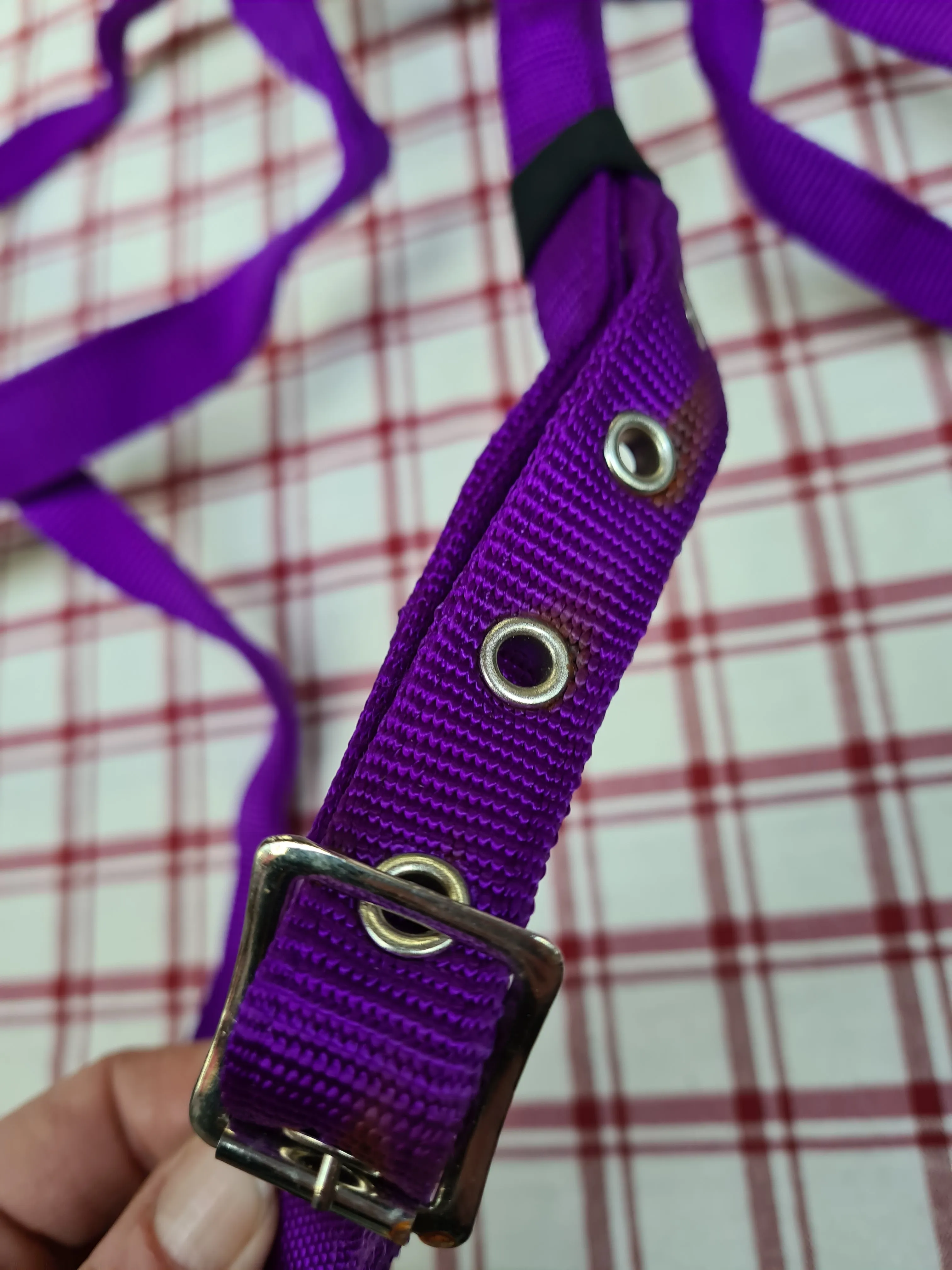 New requisite purple cotton running martingale size full FREE POSTAGE *