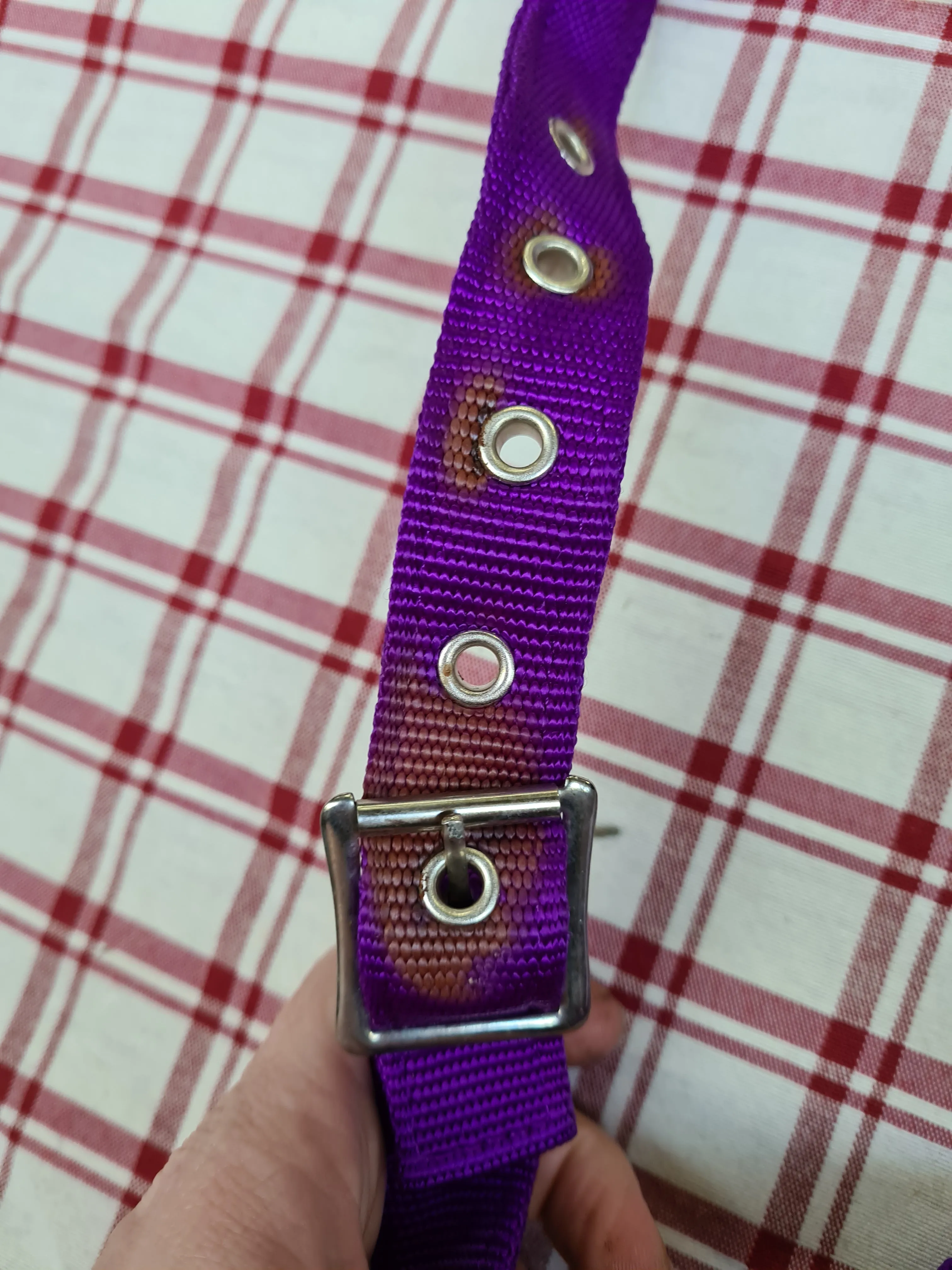 New requisite purple cotton running martingale size full FREE POSTAGE *