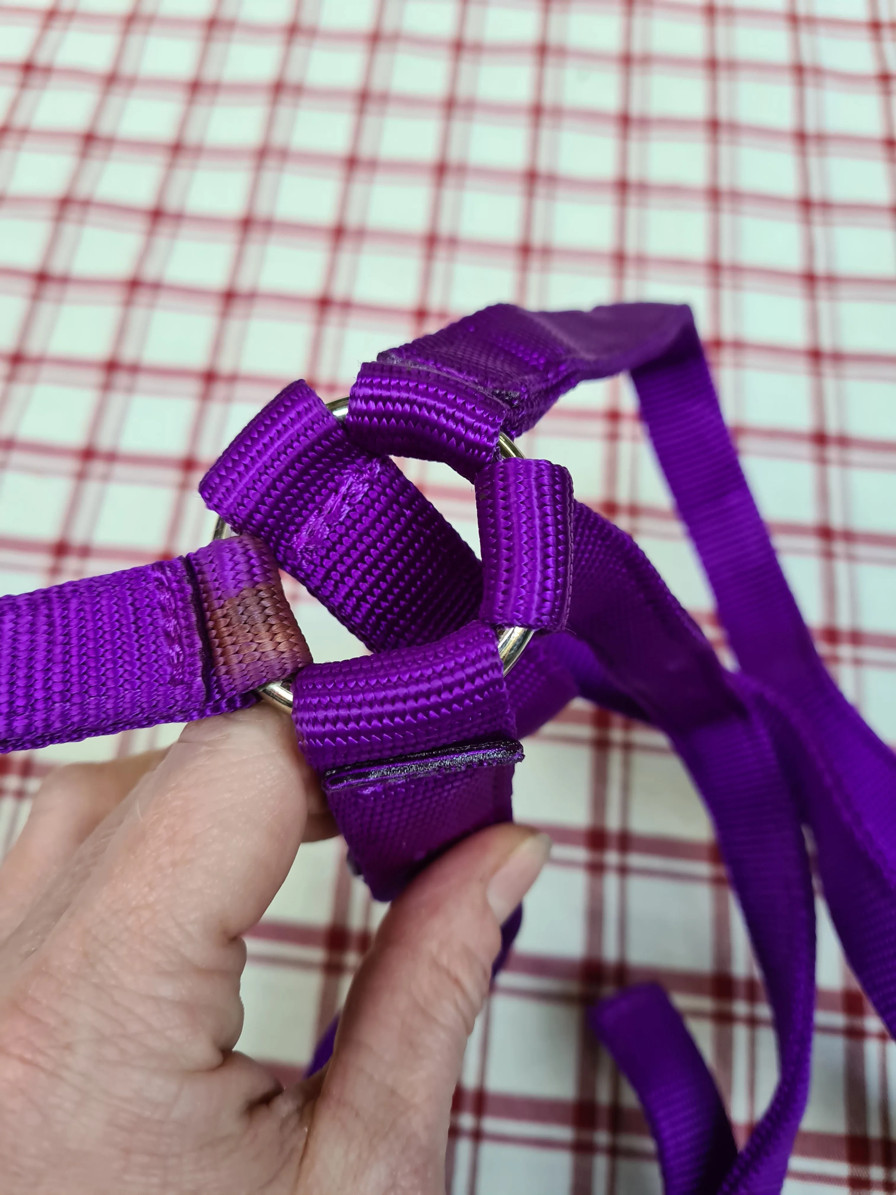 New requisite purple cotton running martingale size full FREE POSTAGE *