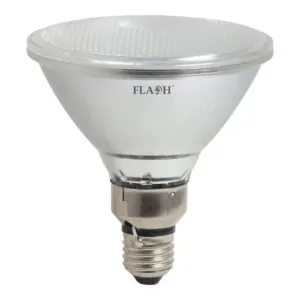 Non-Dimmable Waterproof LED Lamp