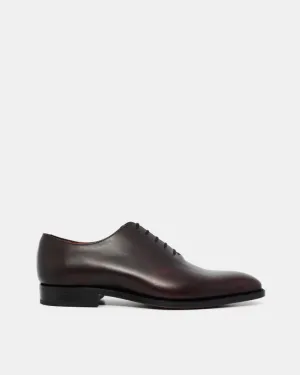 Outlet - Miquel - Museum Oxblood - Louvre