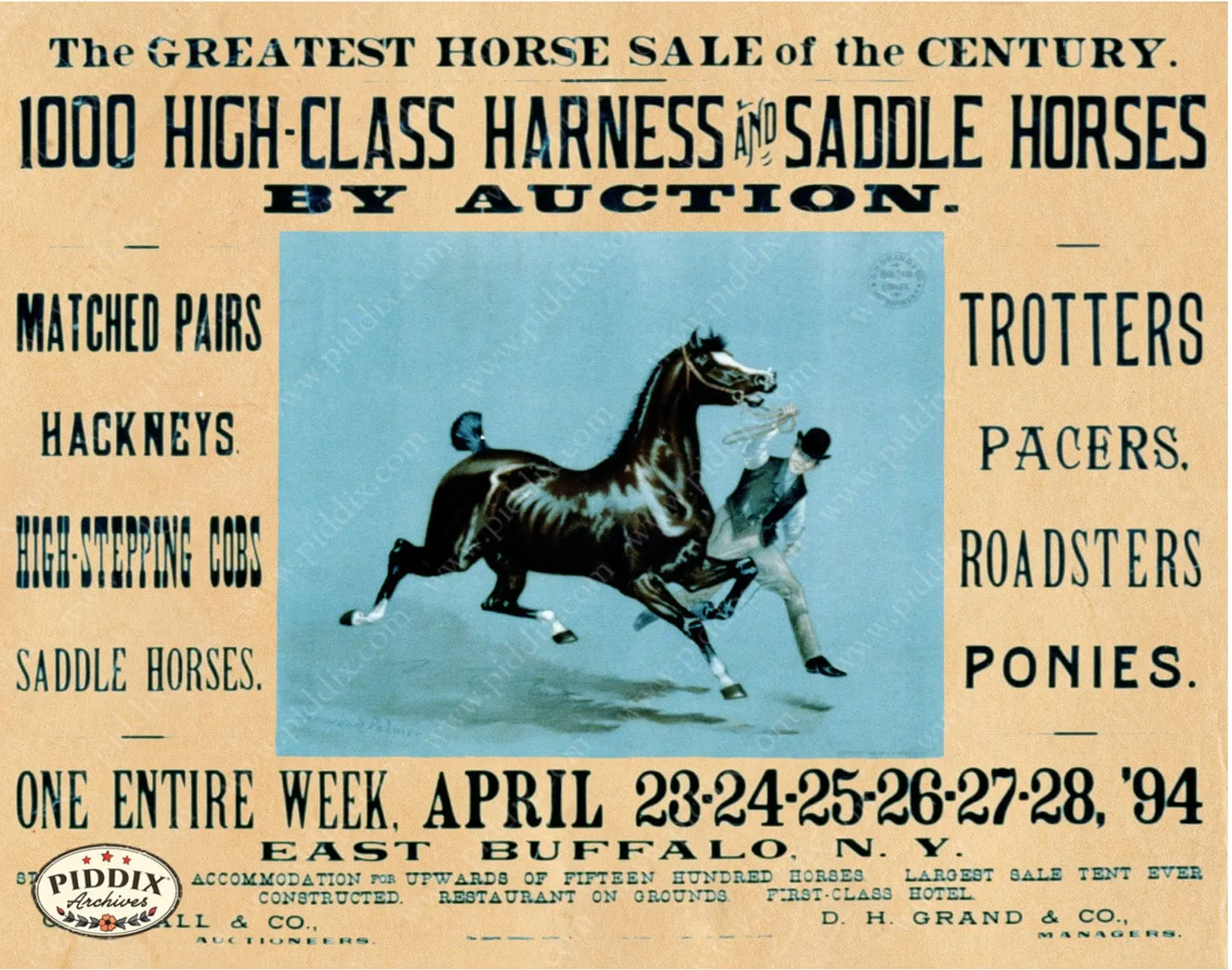 PDXC21040 -- Horse Sale Poster