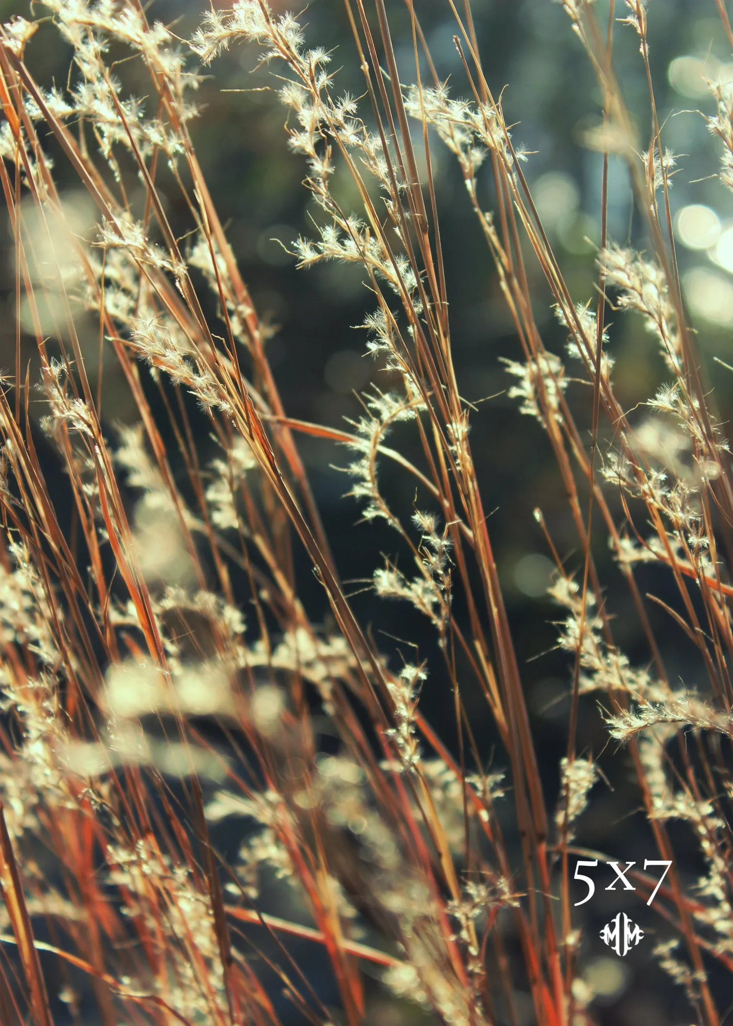 "Lake Flora." Original Artwork Photography Print.