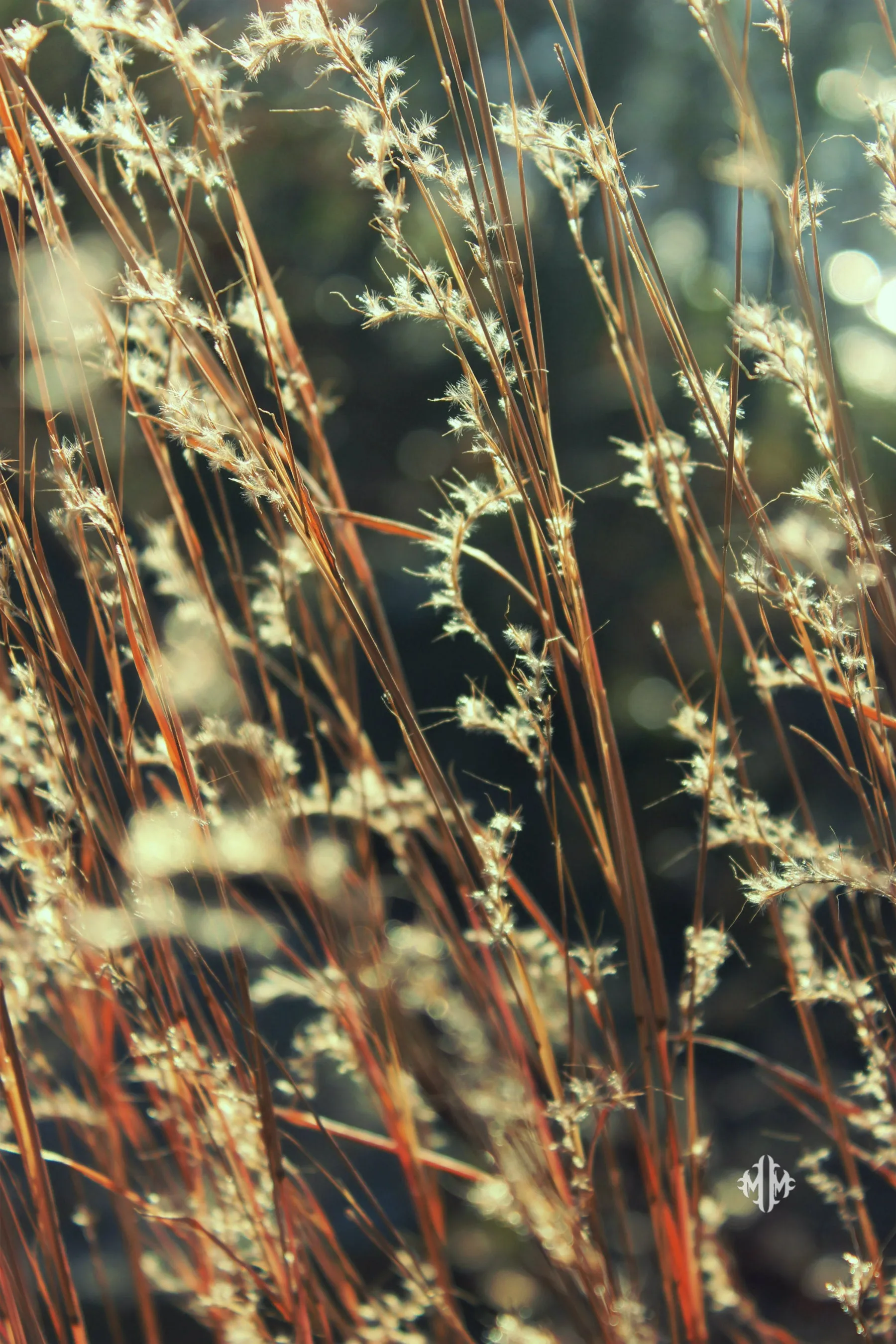 "Lake Flora." Original Artwork Photography Print.