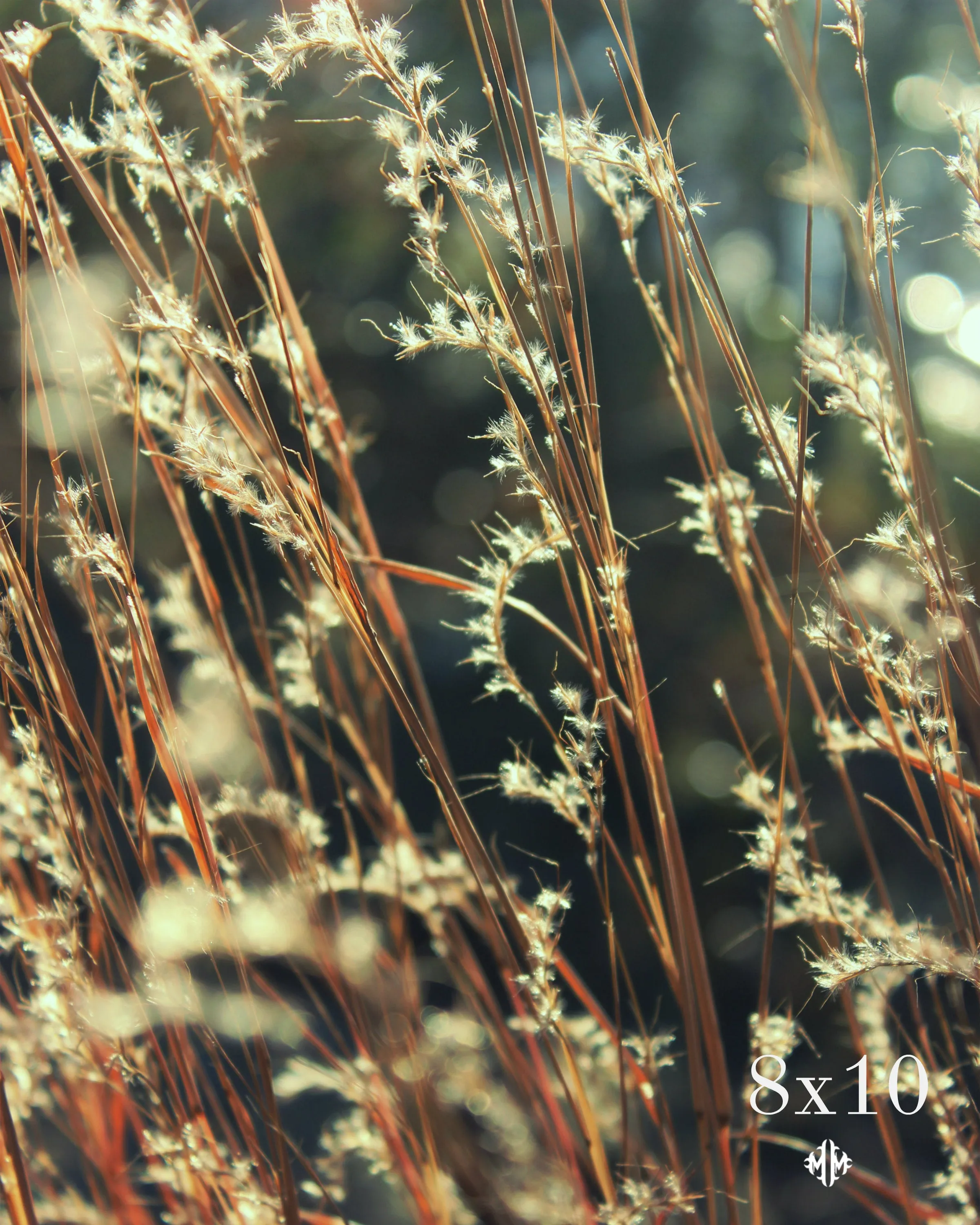"Lake Flora." Original Artwork Photography Print.