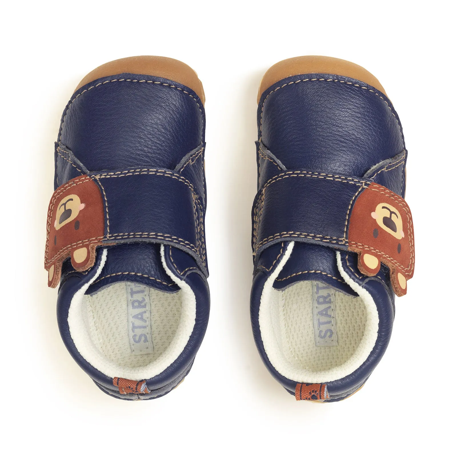 Startrite Bear Hug Pre-Walker 0824 F Fit Navy