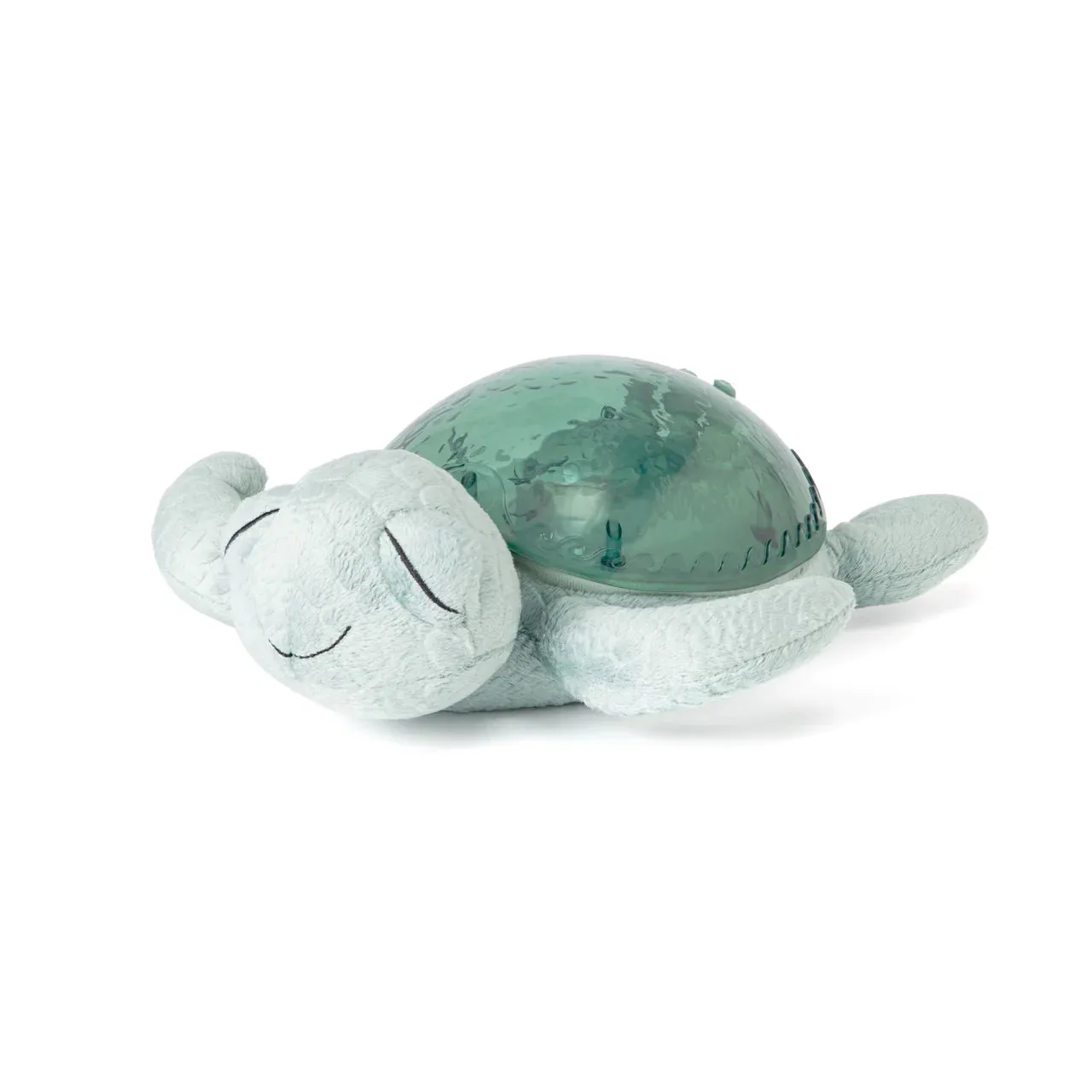 Tranquil Turtle Green