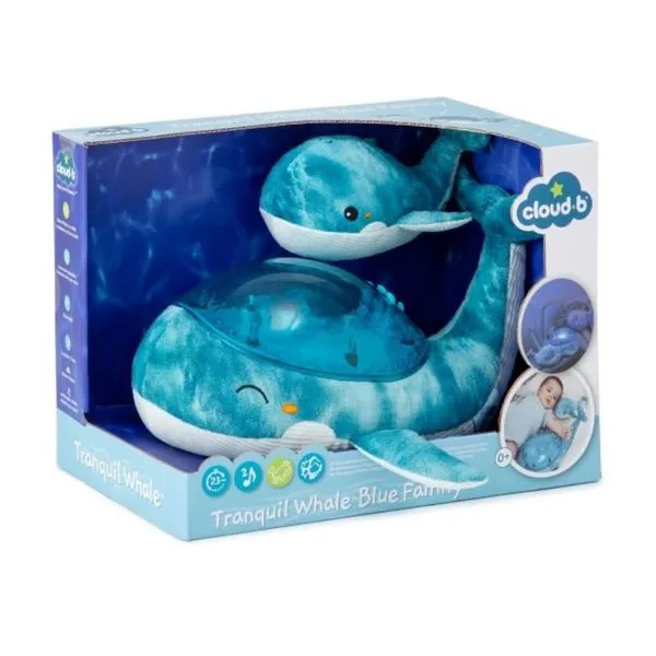 Tranquil Whale Family