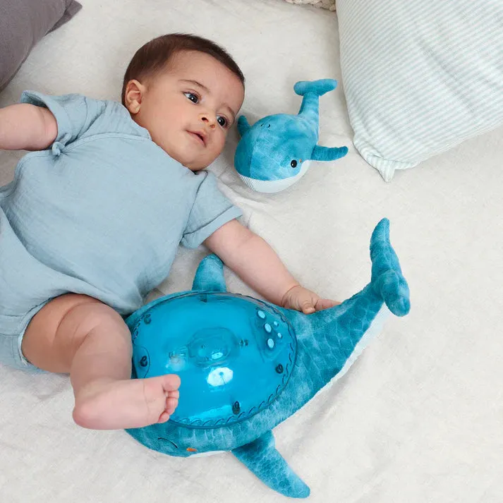 Tranquil Whale Family